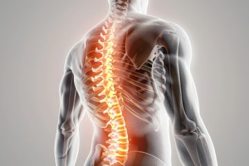 3D illustration of a transparent human torso highlighting the spine in orange, emphasizing spinal alignment and structure.